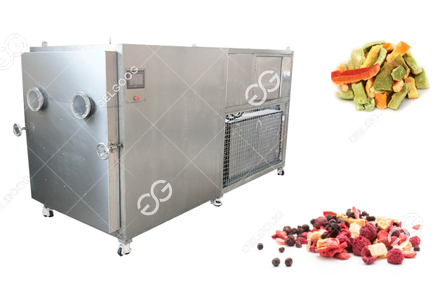 Industrial Fruit Dryer for Drying Fruits Commercially